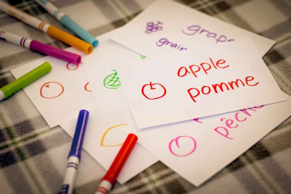 Elementary school french