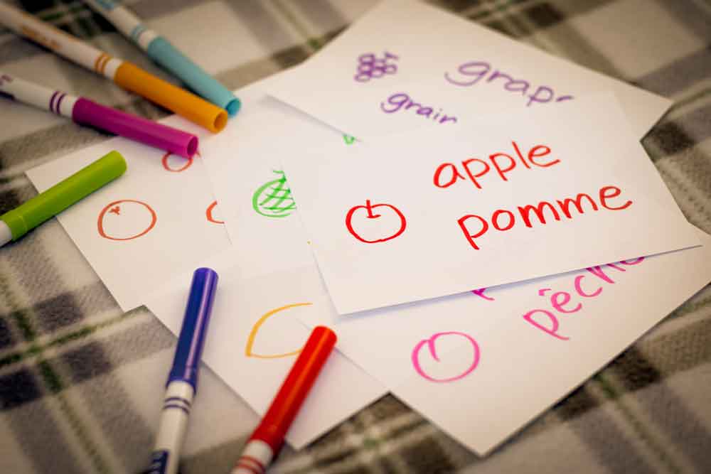 Elementary school french